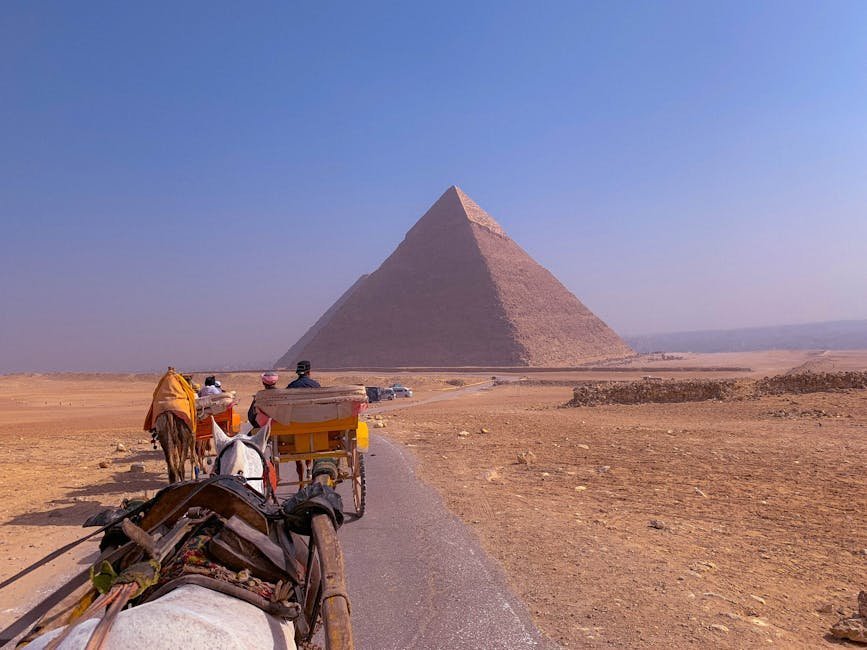 Ancient Foundations: Walking, Animals, and Early Boats (Image Credits: Pexels)