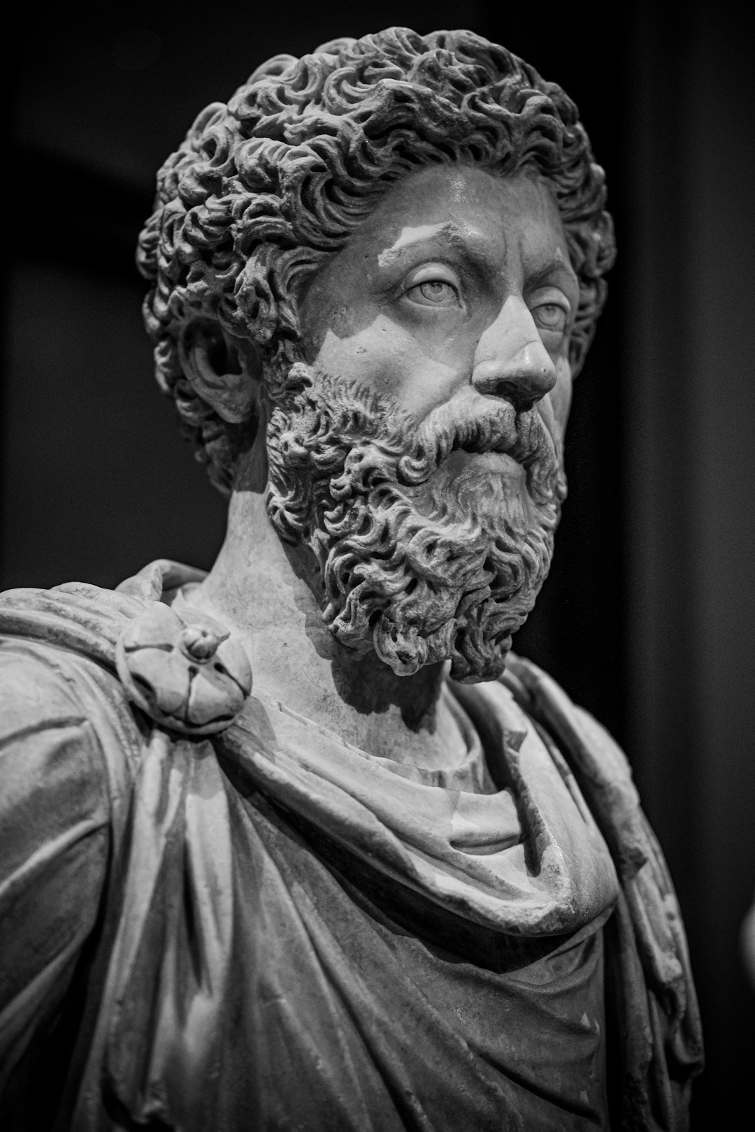 Meditations by Marcus Aurelius (Image Credits: Unsplash)