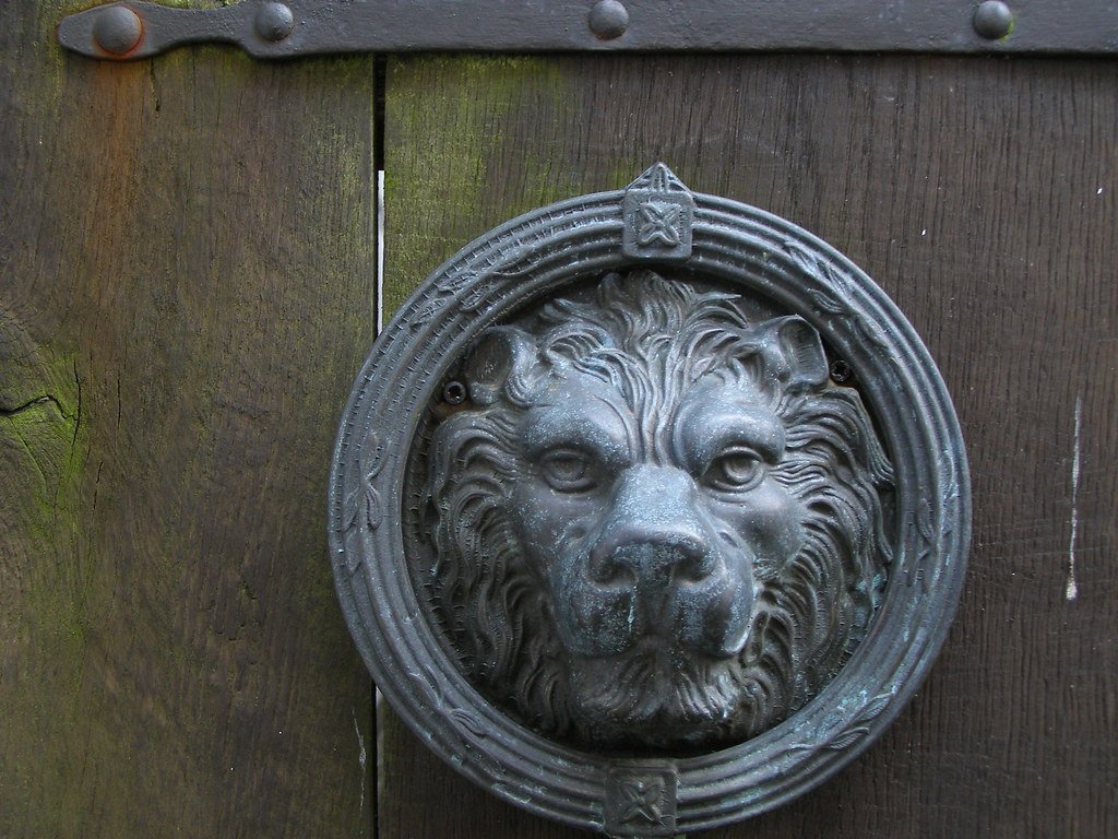 Leo (erix!, Flickr, CC BY 2.0)
