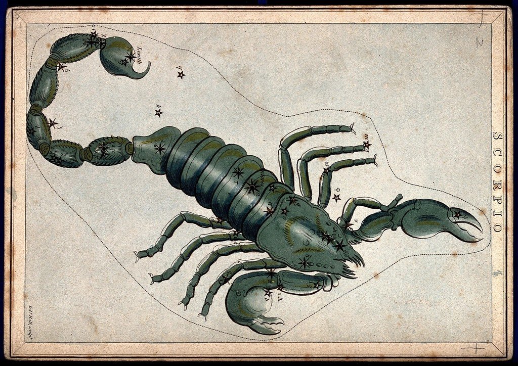 Scorpio (Image Credits: Rawpixel)