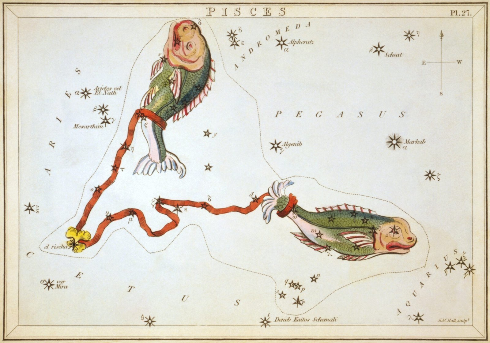 Pisces (This image  is available from the United States Library of Congress's Prints and Photographs division under the digital ID cph.3g10073.This tag does not indicate the copyright status of the attached work. A normal copyright tag is still required. See Commons:Licensing., Public domain)