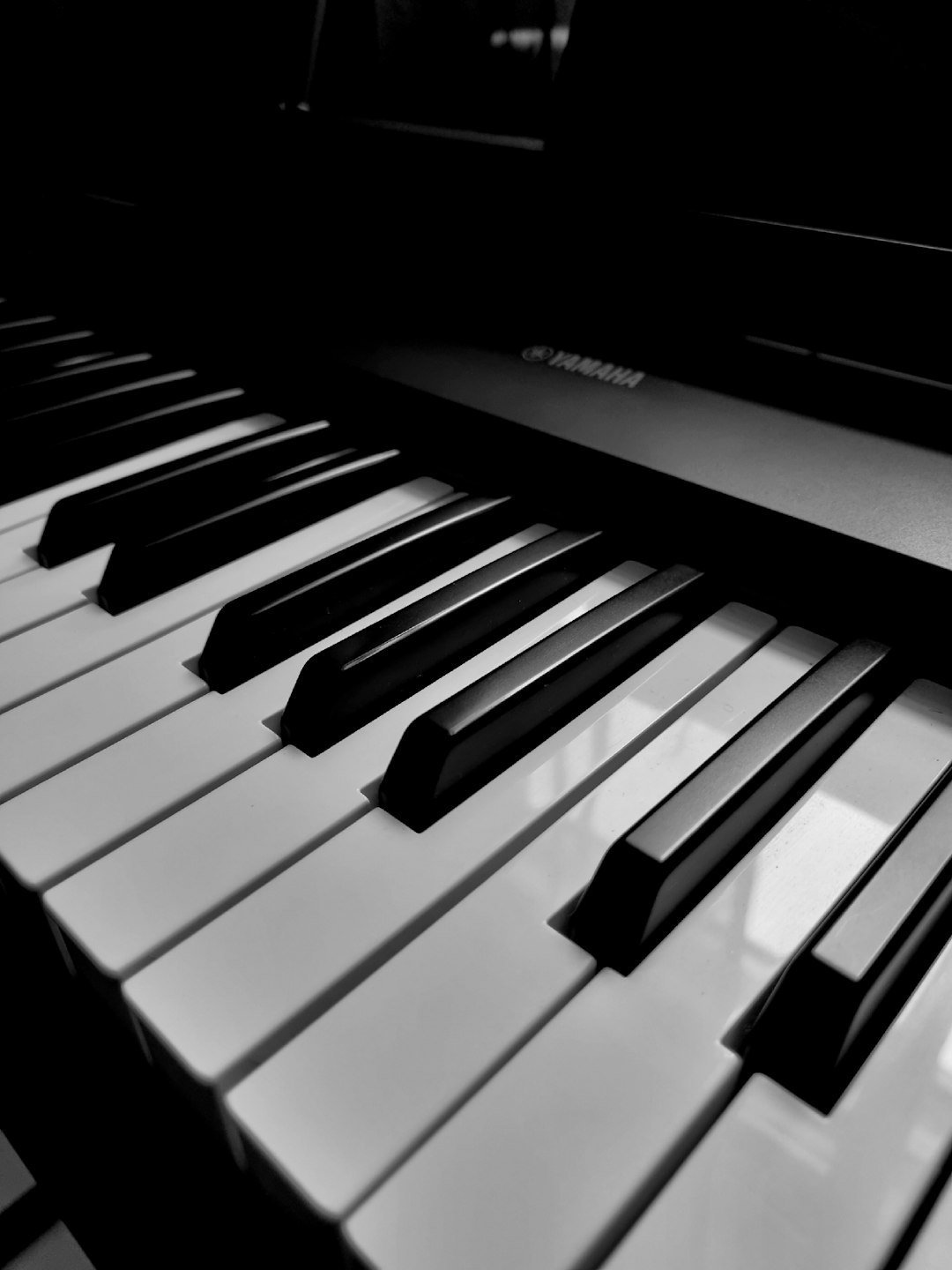 Cancer: The Piano (Image Credits: Unsplash)