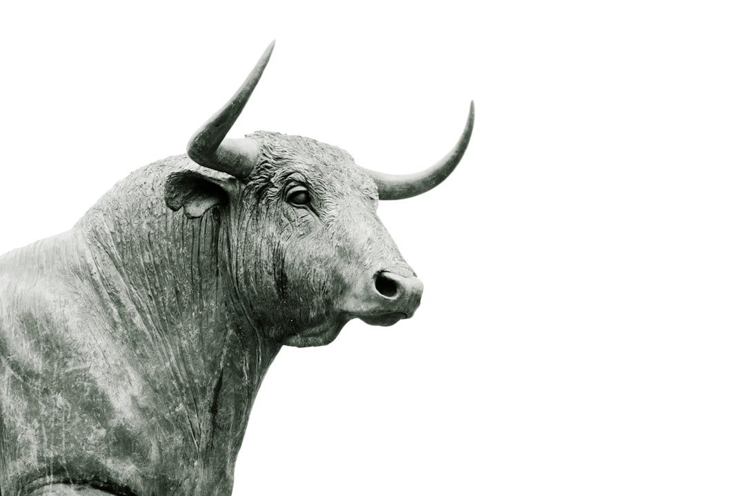 Taurus (Image Credits: Unsplash)