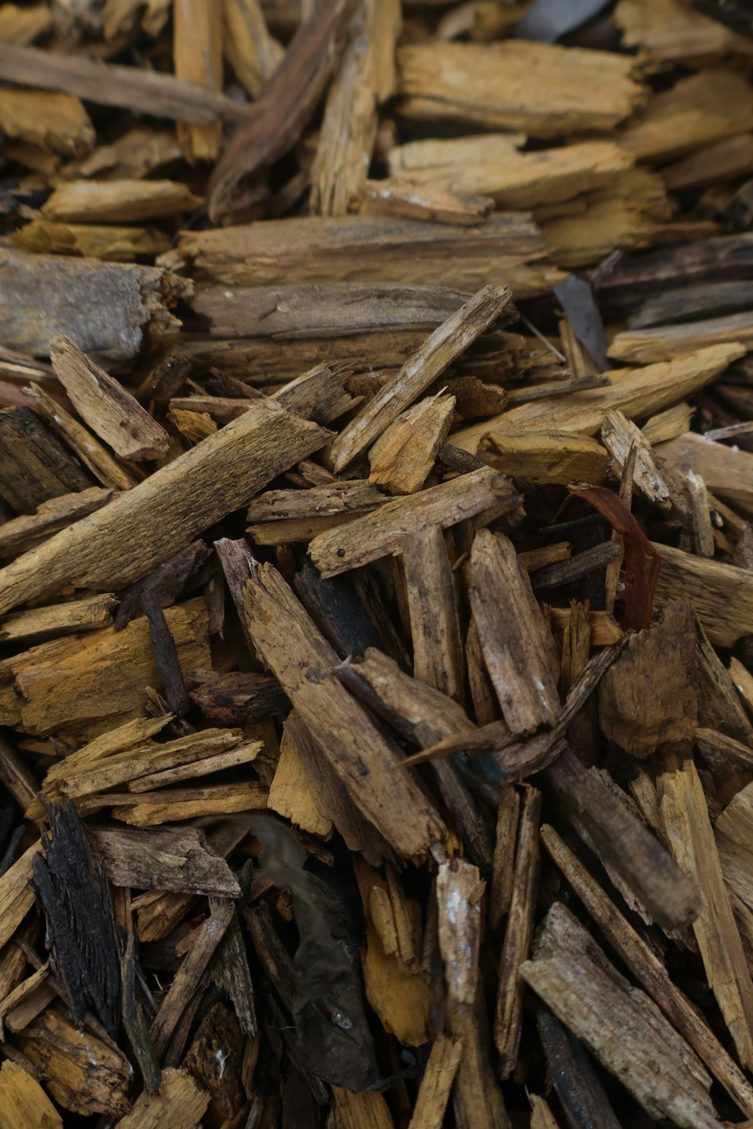 3. Apply a Thick Layer of Organic Mulch Every Season (Image Credits: Unsplash)