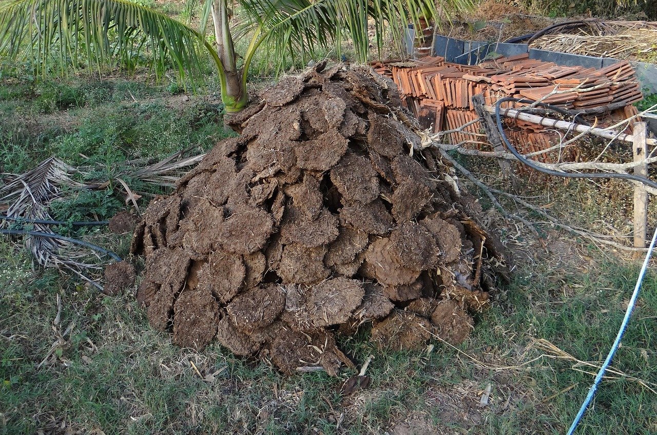 9. Build a Simple Compost Pile From Kitchen Scraps (Image Credits: Pixabay)