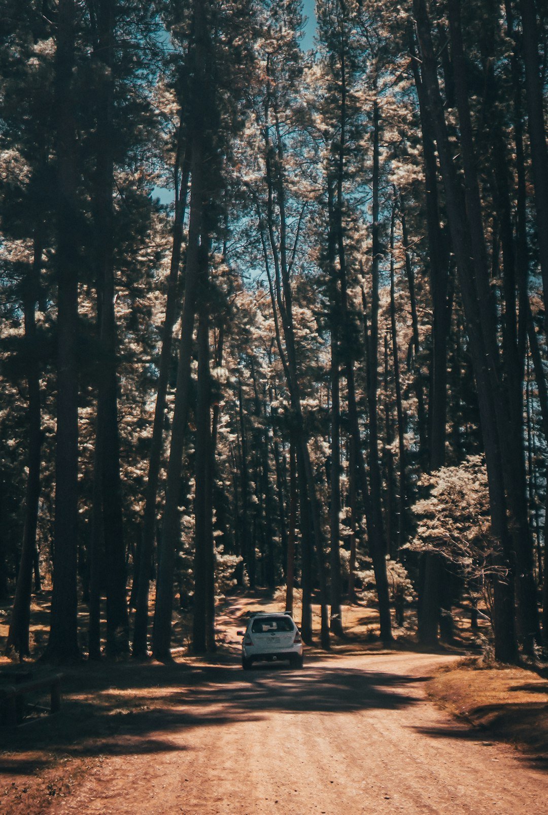 Sagittarius (Image Credits: Unsplash)