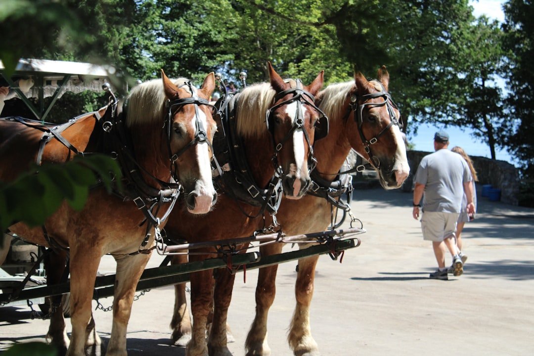Mackinac Island, Michigan (Image Credits: Unsplash)