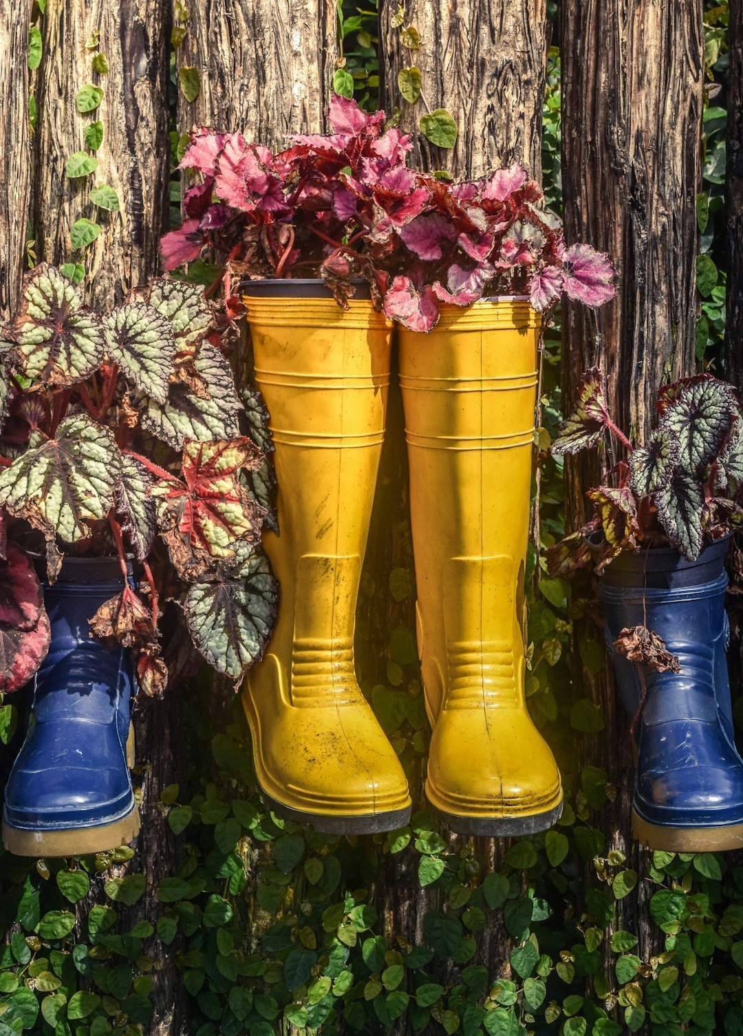 Go Go Boots (Image Credits: Unsplash)