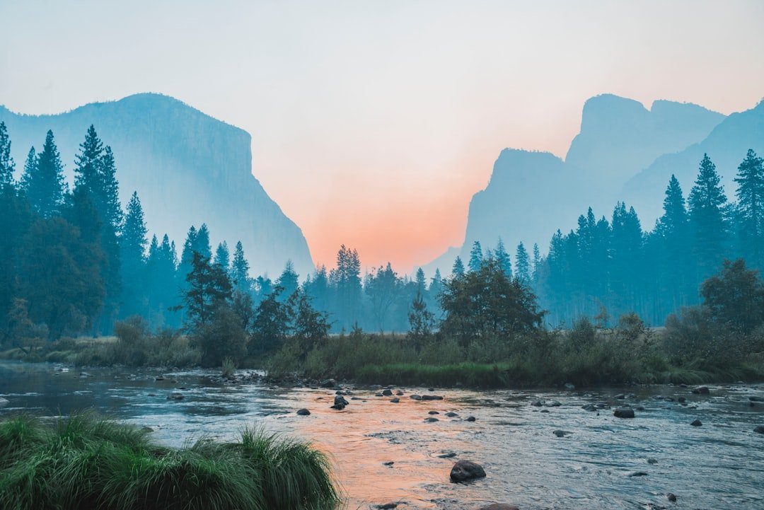 Yosemite National Park (Image Credits: Unsplash)
