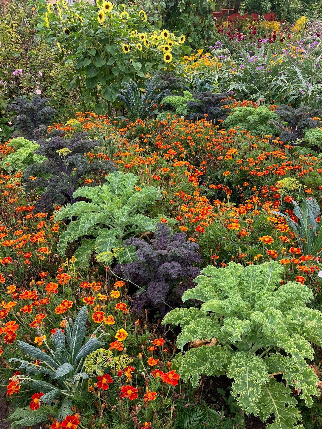 Embrace Companion Planting (Image Credits: Unsplash)