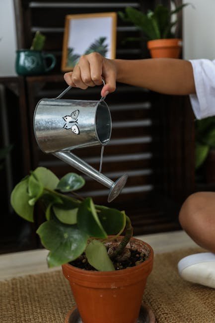 Water Deeply but Infrequently (Image Credits: Pexels)