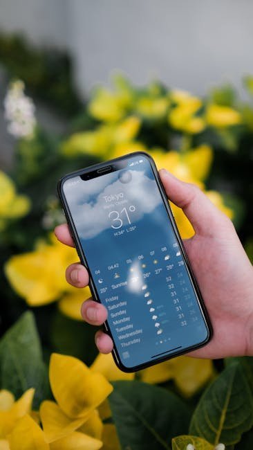 Observe Local Weather Patterns Closely (Image Credits: Pexels)