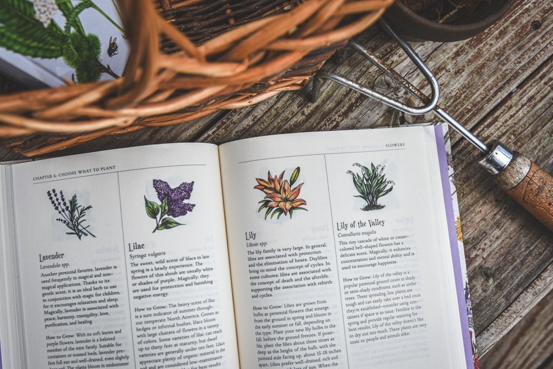 The Enduring Value of Generational Wisdom (Image Credits: Unsplash)