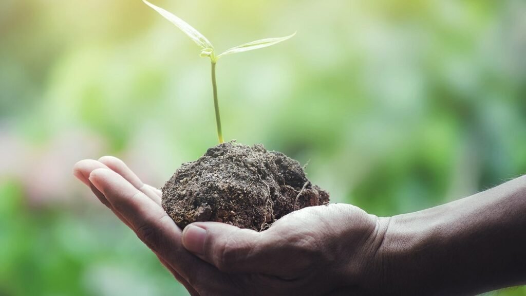 10 Gardening Secrets From Your Grandparents That Still Yield Dramatic Results