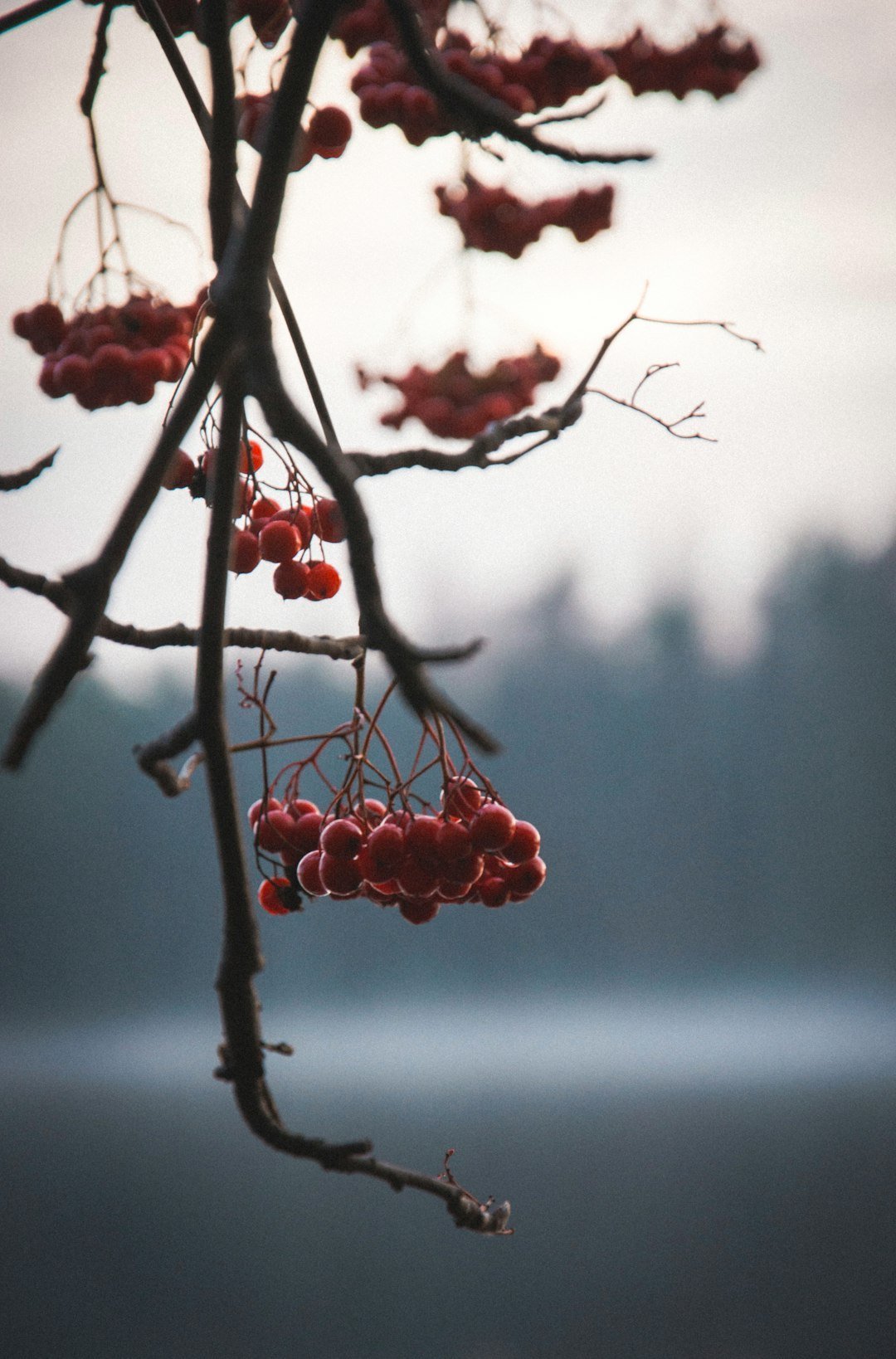 April Come She Will (Image Credits: Unsplash)