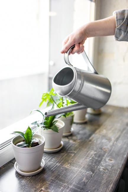 Myth 2: Watering Plants Every Day Keeps Them Healthy (Image Credits: Pexels)