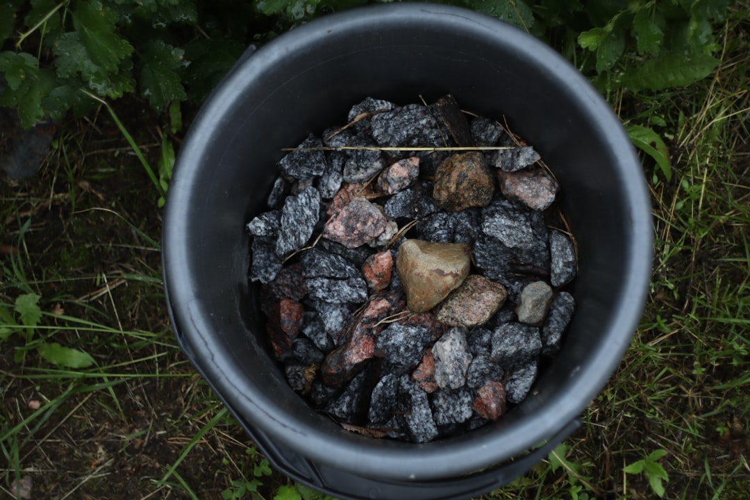 Myth 3: Adding Gravel or Rocks at the Bottom of Pots Improves Drainage (Image Credits: Unsplash)