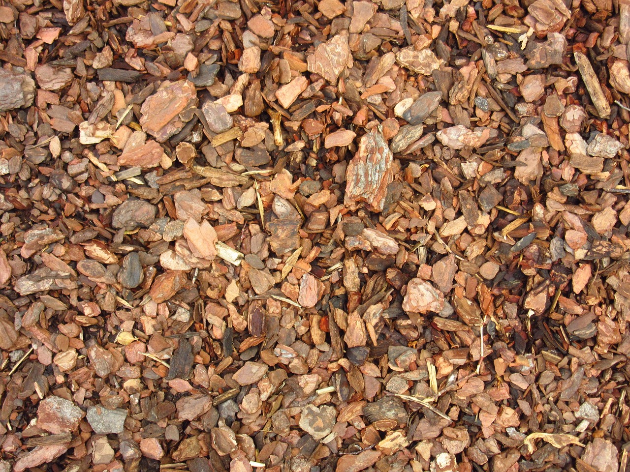 Myth 11: Wood Chip Mulch Robs Nitrogen from the Soil (Image Credits: Pixabay)