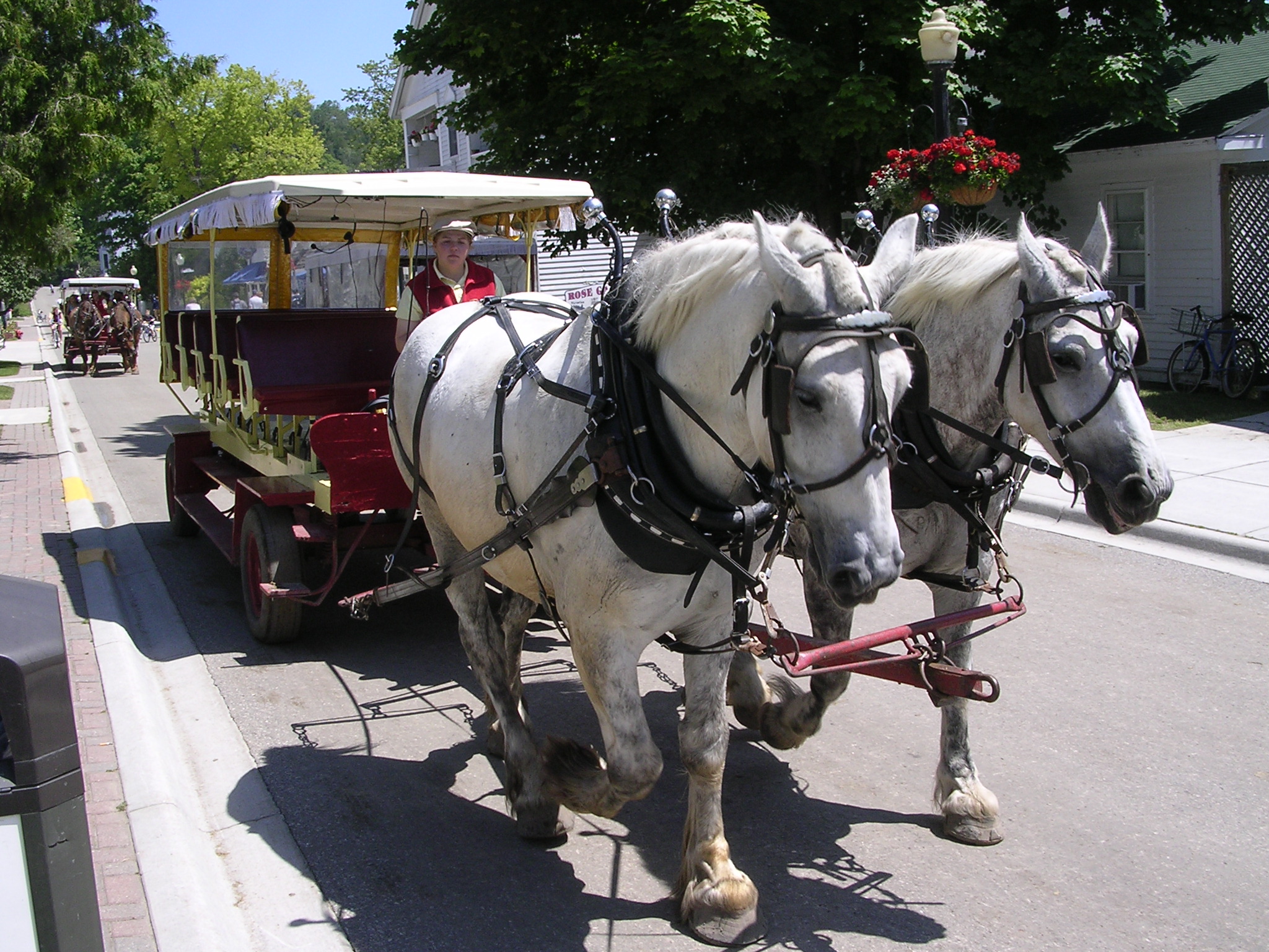 Mackinac Island, Michigan (By Eli Duke from Seattle, United States, CC BY-SA 2.0)