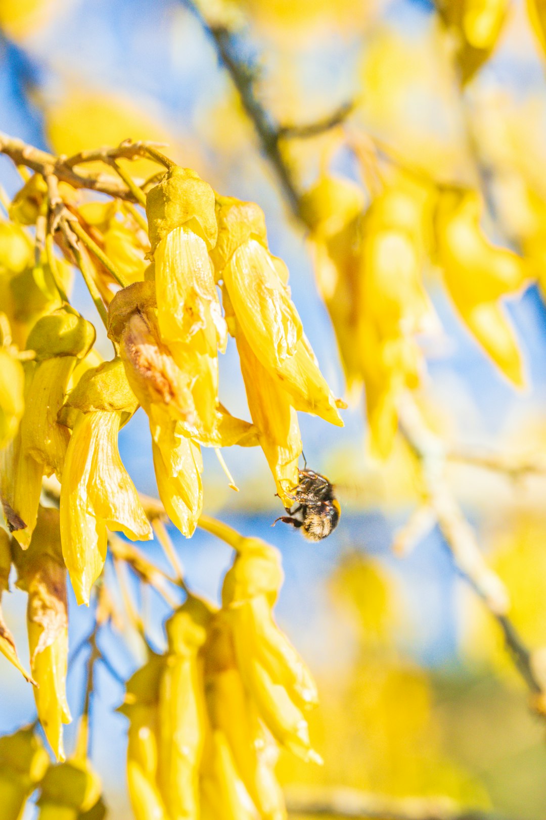21. The Birds and the Bees by Jewel Akens (Image Credits: Unsplash)