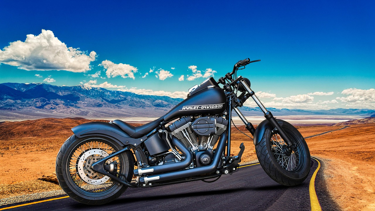 Aries: Born to Be Wild by Steppenwolf (Image Credits: Pixabay)