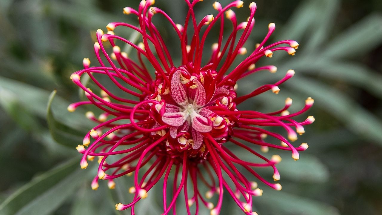 9 Gardening Myths Your Grandparents Swore By That Are Actually Harmful