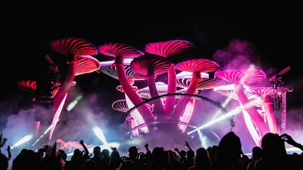 Your Zodiac Sign's Secret Festival Vibe: Which Era Defines Your Spirit?