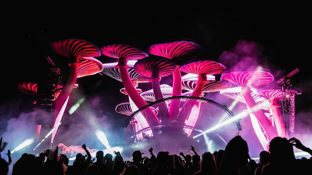 Your Zodiac Sign’s Secret Festival Vibe: Which Era Defines Your Spirit?